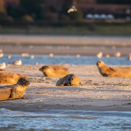 Maison Familiale En Baie De Somme A Casa vacanze